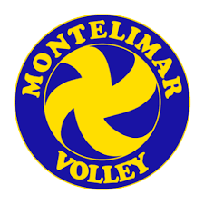 Partenaires Newteam Montélimar volley
